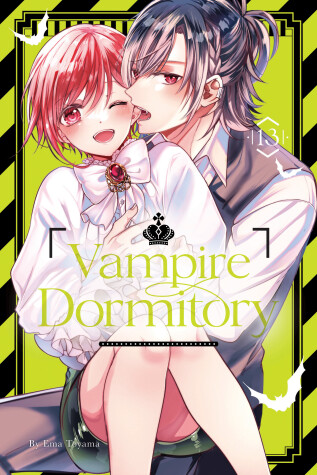 Cover of Vampire Dormitory 13