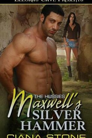 Cover of Maxwell's Silver Hammer