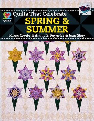 Book cover for Quilts That Celebrate Spring & Summer