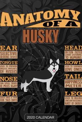 Book cover for Anatomy Of A Husky