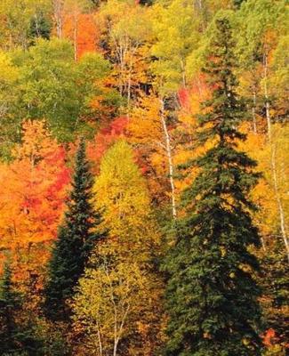 Cover of School Composition Book Fall Foliage Valley Autumn Season 130 Pages