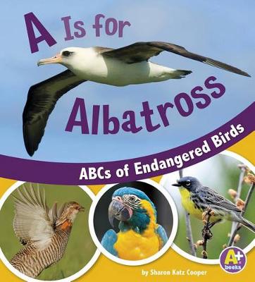 Cover of A Is for Albatross