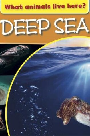 Cover of What Animals Live Here?: Deep Sea