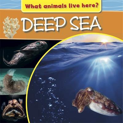 Book cover for What Animals Live Here?: Deep Sea