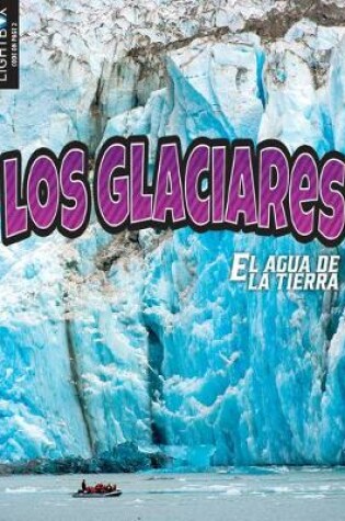 Cover of Los Glaciares