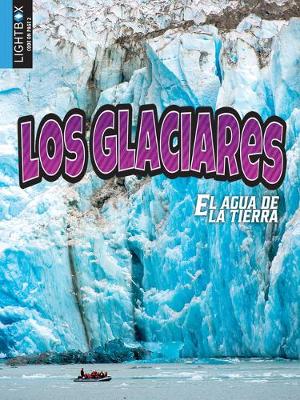 Book cover for Los Glaciares