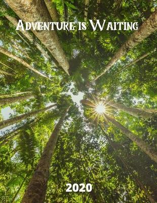 Book cover for Adventure is Waiting 2020