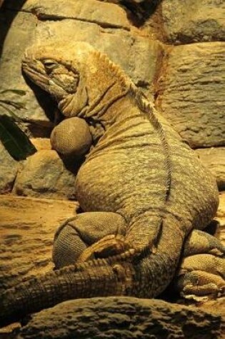 Cover of Jamaican Iguana Climbing a Rock Journal