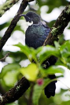 Book cover for Tui Bird of New Zealand Journal