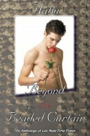 Cover of Beyond the Beaded Curtain