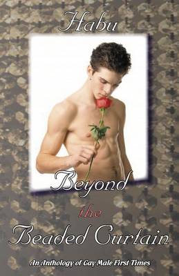 Book cover for Beyond the Beaded Curtain