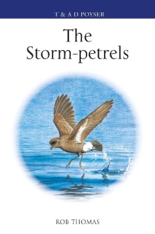 Cover of The Storm-petrels