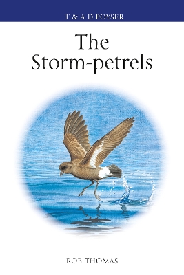 Book cover for The Storm-petrels