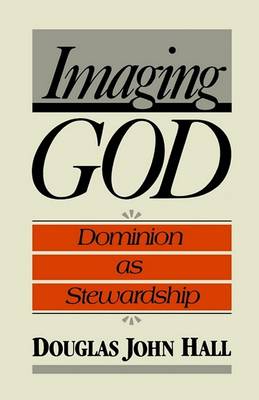 Book cover for Imaging God