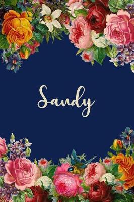 Book cover for Sandy