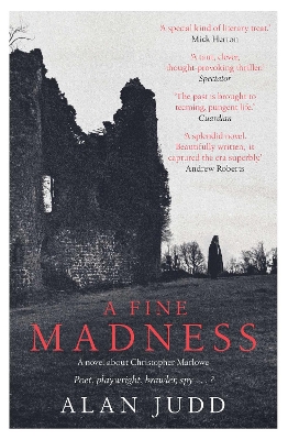 Book cover for A Fine Madness