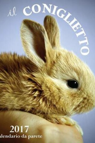 Cover of Il Coniglietto 2017 Calendario Da Parete (Edizione Italia)