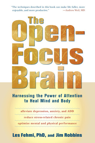 Book cover for The Open-Focus Brain