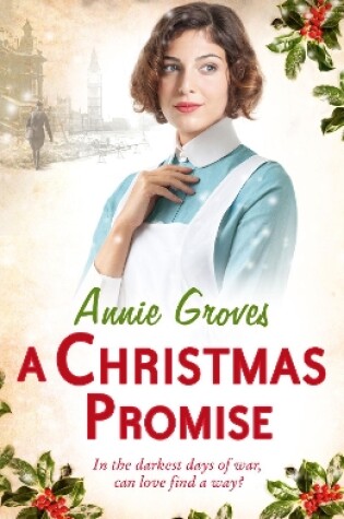 Cover of A Christmas Promise