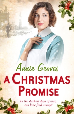 Book cover for A Christmas Promise