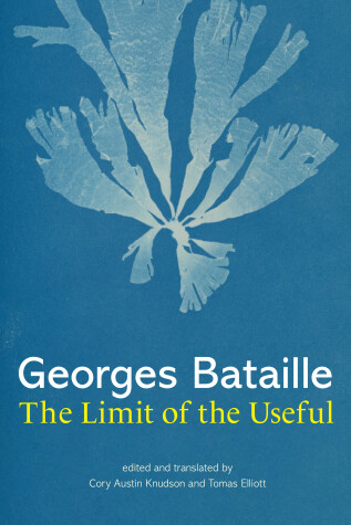 Book cover for The Limit of the Useful