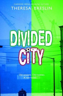 Book cover for Rollercoasters: Divided City