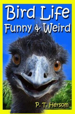 Cover of Bird Life Funny & Weird Feathered Animals