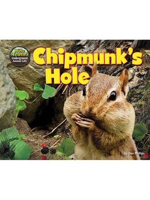 Cover of Chipmunk's Hole