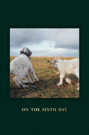 Cover of On the Sixth Day