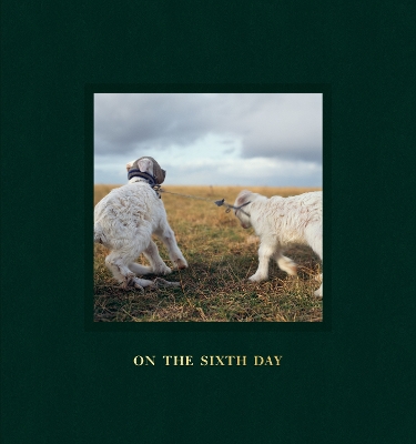 Book cover for On the Sixth Day