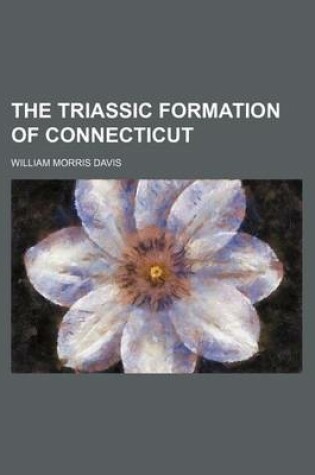 Cover of The Triassic Formation of Connecticut