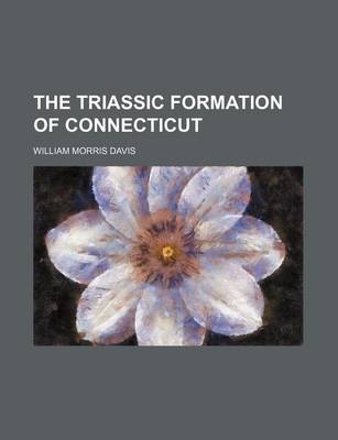 Book cover for The Triassic Formation of Connecticut