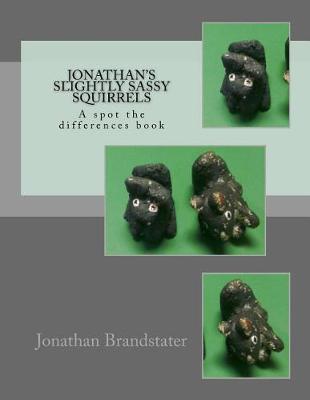 Book cover for Jonathan's slightly sassy squirrels