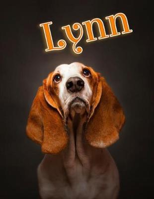 Book cover for Lynn