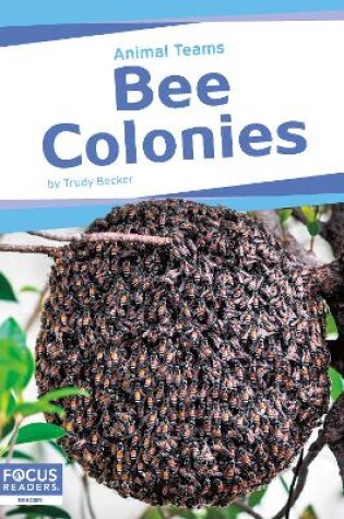 Cover of Animal Teams: Bee Colonies