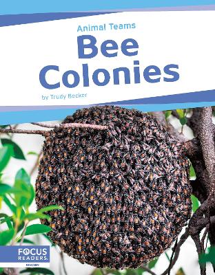 Book cover for Animal Teams: Bee Colonies