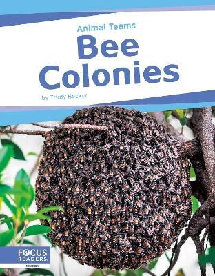 Book cover for Bee Colonies