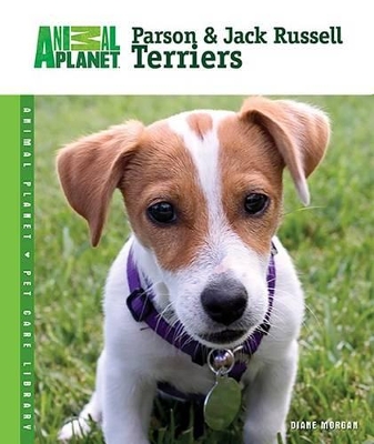 Cover of Parson & Jack Russell Terriers