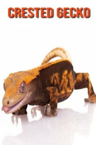 Cover of Crested Gecko