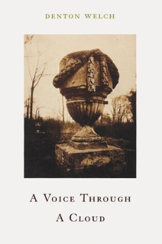 Cover of A Voice Through Cloud