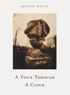 Book cover for A Voice Through Cloud