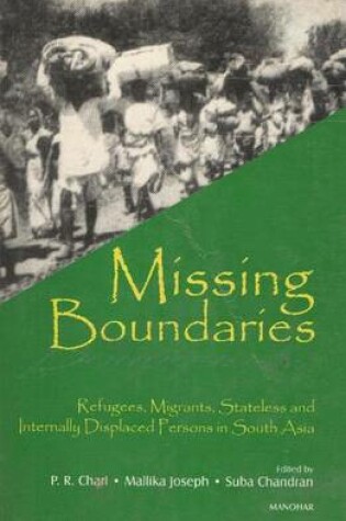 Cover of Missing Boundaries