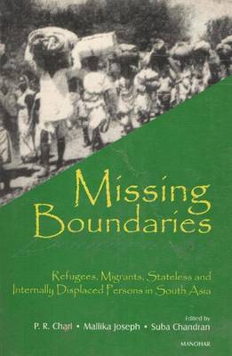 Book cover for Missing Boundaries