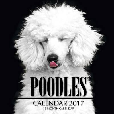 Book cover for Poodles Calendar 2017