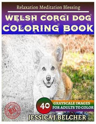 Book cover for Welsh Corgi Dog Coloring Book for Adults Relaxation Meditation Blessing