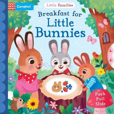 Book cover for Breakfast for Little Bunnies