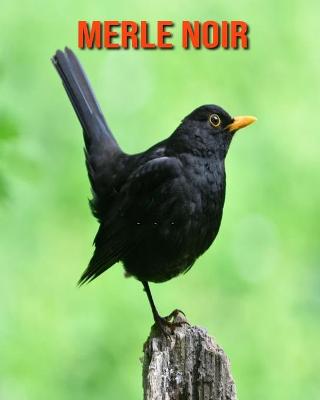 Book cover for Merle Noir