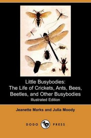 Cover of Little Busybodies