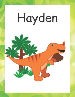 Book cover for Hayden