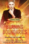 Book cover for Burning Boundaries